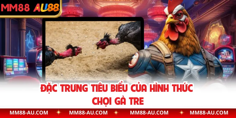 Đặc trưng tiêu biểu của hình thức chọi gà tre