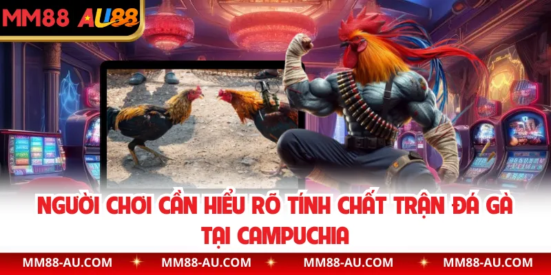 Người chơi cần hiểu rõ tính chất trận đá gà tại Campuchia